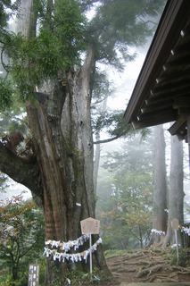 DSCF6971.jpg